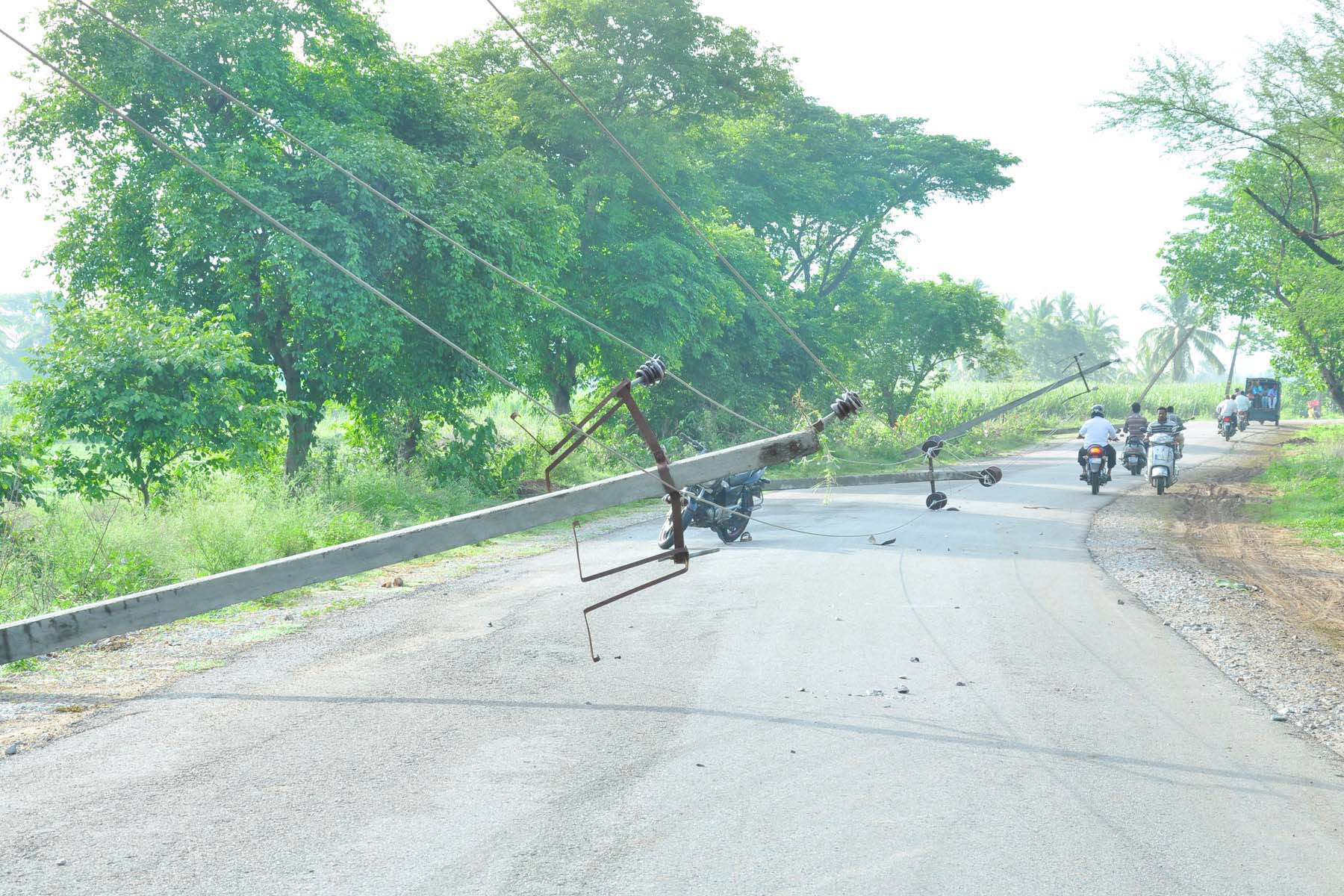ಮಂಡ್ಯ: ಮಳೆ ಬಿರುಗಾಳಿಗೆ ಧರೆಗುರುಳಿದ ಮರ, ವಿದ್ಯುತ್ ಕಂಬಗಳು