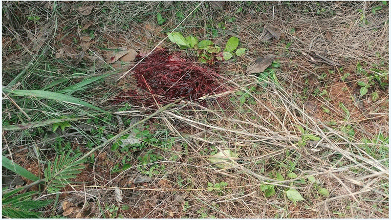 ಕಡಬ: ರಿಕ್ಷಾ ಚಾಲಕನಿಗೆ ತಂಡದಿಂದ ಚೂರಿ ಇರಿತ
