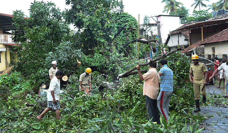 ಅತ್ತಾವರ: ವಿದ್ಯುತ್ ಟ್ರಾನ್ಸ್‌ಫಾರ್ಮರ್, ಕಾರುಗಳ ಮೇಲೆ ಉರುಳಿದ ಬೃಹತ್ ಮರ