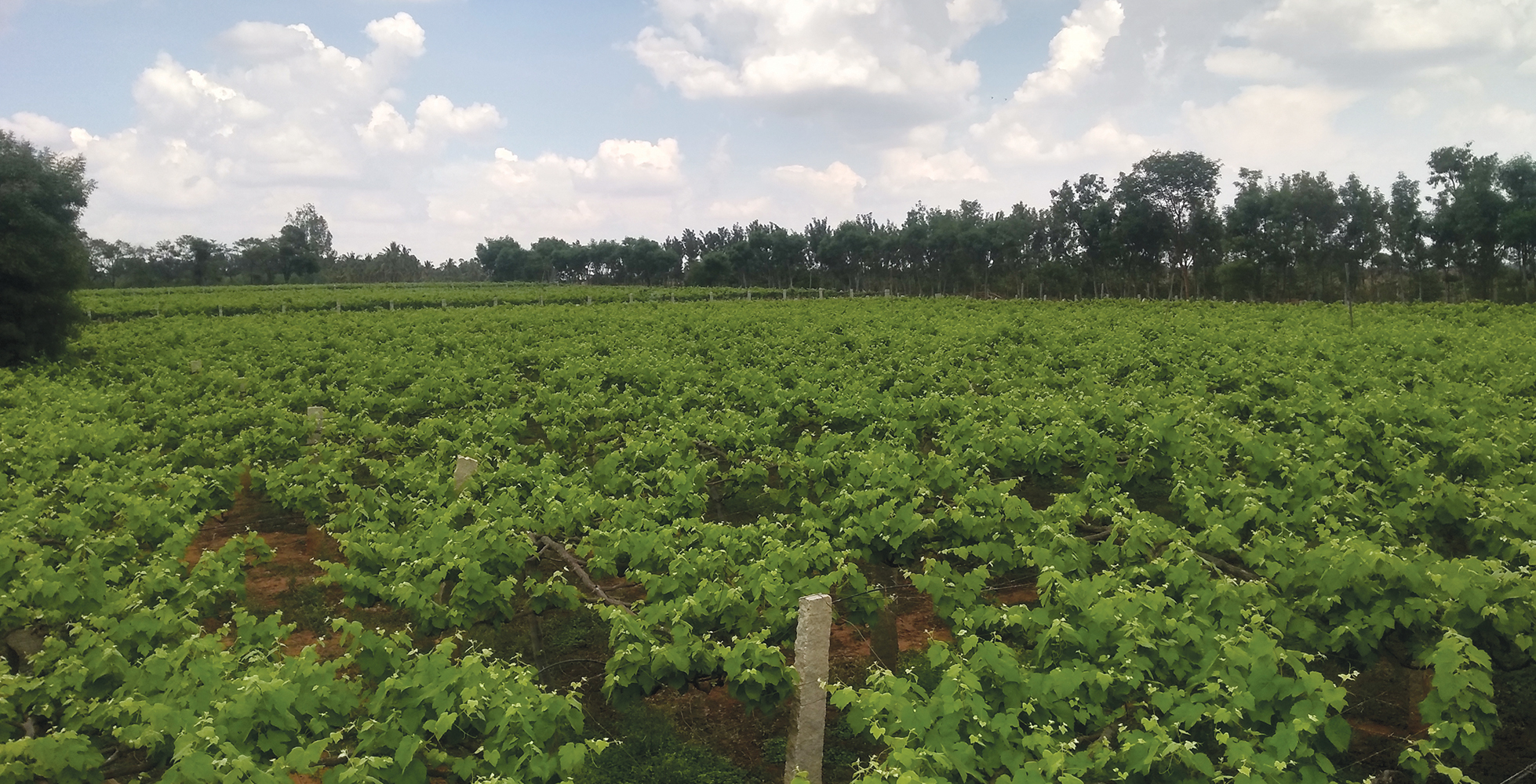 ಸಮಗ್ರ ಕೃಷಿಯ ಪ್ರಯೋಗ ಶಾಲೆ ಸಮಗ್ರ ಕೃಷಿಯ ಪ್ರಯೋಗ ಶಾಲೆ