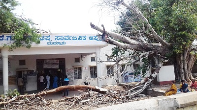ಮದ್ದೂರು: ಆಸ್ಪತ್ರೆ ಮೇಲೆ ಉರುಳಿದ ಮರ; ವೈದ್ಯಾಧಿಕಾರಿಗಳ ವಿರುದ್ಧ ಸಾರ್ವಜನಿಕರ ಆಕ್ರೋಶ