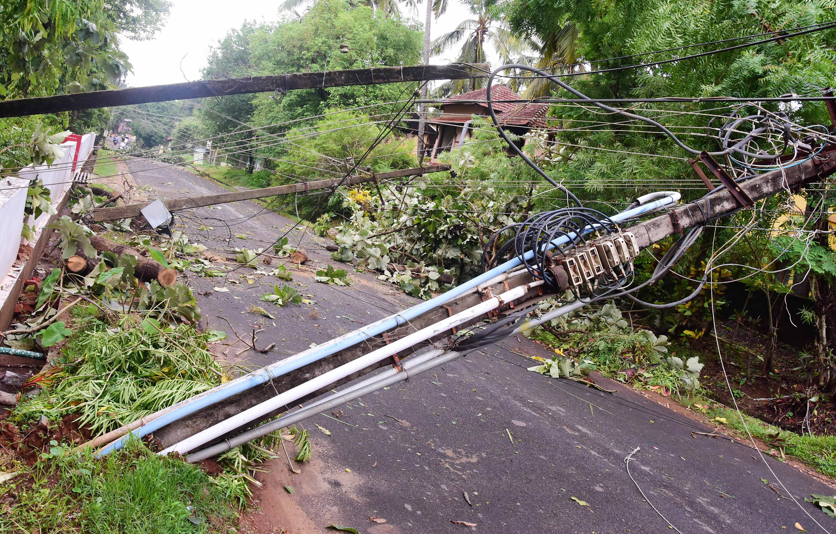 ಗಾಳಿ, ಮಳೆಗೆ ತತ್ತರಿಸಿದ ಉಡುಪಿ, ಕಾರ್ಕಳ ತಾಲೂಕು: 183 ವಿದ್ಯುತ್ ಕಂಬ ಧರಾಶಾಹಿ