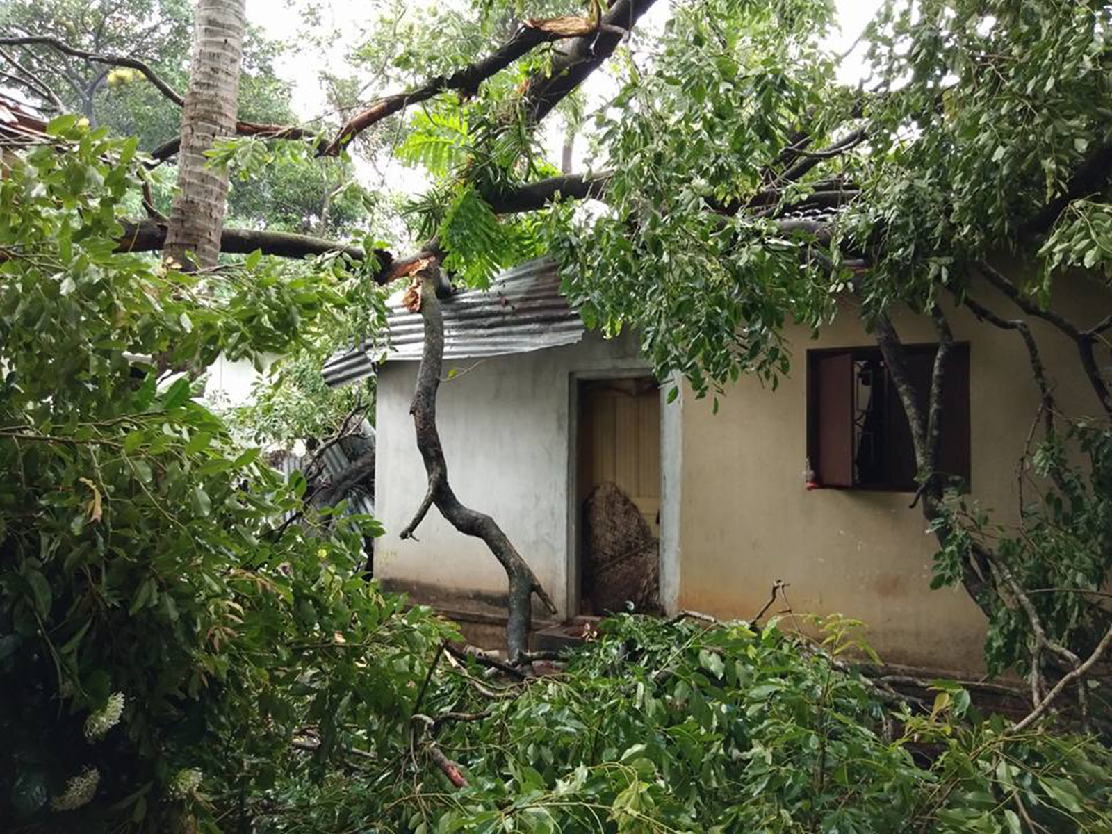 ಮಳೆಯೊಂದಿಗೆ ಅಬ್ಬರಿಸಿದ ಗಾಳಿ, ಸಿಡಿಲು; ಜಿಲ್ಲೆಯಲ್ಲಿ ಅಪಾರ ನಷ್ಟ