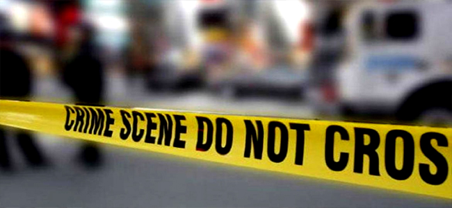 ಕಾರು ಅಪಹರಣಕ್ಕೆ ವಿಫಲ ಯತ್ನದ ವೇಳೆ 9 ವರ್ಷದ ಎನ್‌ಆರ್‌ಐ ಬಾಲಕಿ ಹತ್ಯೆ