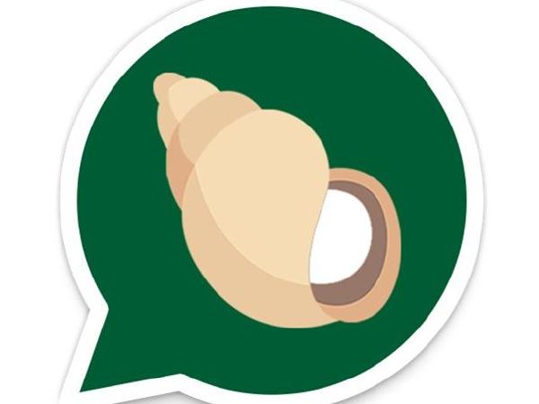 ಗೂಗಲ್ ಪ್ಲೇ ಸ್ಟೋರ್‌ನಿಂದ ಮಾಯವಾದ ಪತಂಜಲಿಯ ಮೆಸೇಜಿಂಗ್ ಆ್ಯಪ್ !