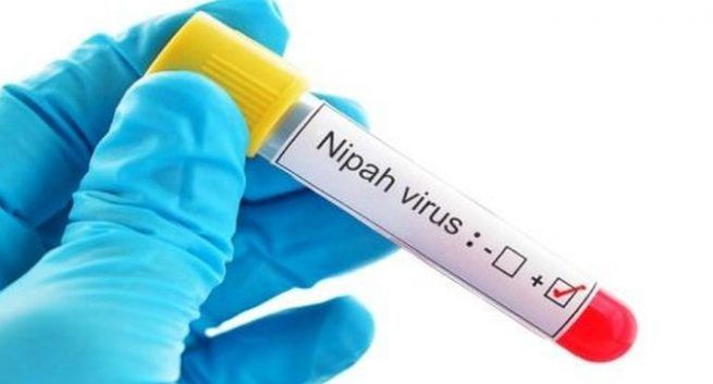 ನಿಪಾಹ್ ವೈರಸ್‌ಗೆ ಮತ್ತಿಬ್ಬರು ಬಲಿ