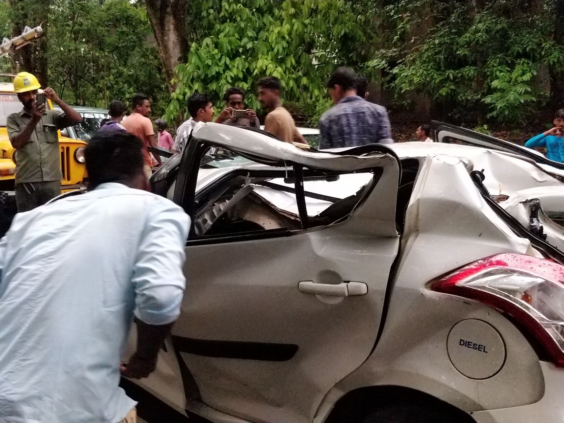 ಕಡಬ: ಮರ ಬಿದ್ದು ಕಾರು ಜಖಂ