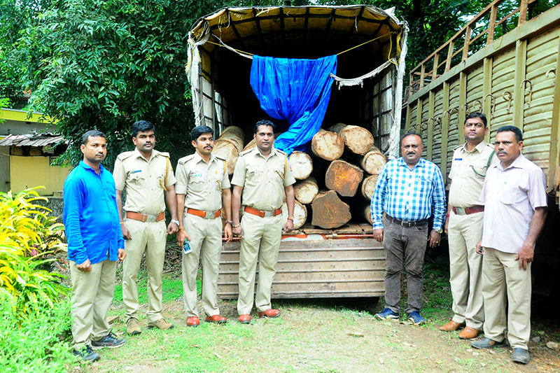 ಅಕ್ರಮ ಮರದ ದಿಮ್ಮಿ ಸಾಗಾಟ: ಆರೋಪಿ ಬಂಧನ
