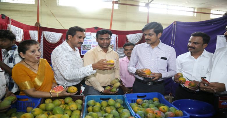 ಮೈಸೂರು: ಮಾವು ಮತ್ತು ಹಲಸಿನ ಮೇಳ-2018 ಕ್ಕೆ ಚಾಲನೆ