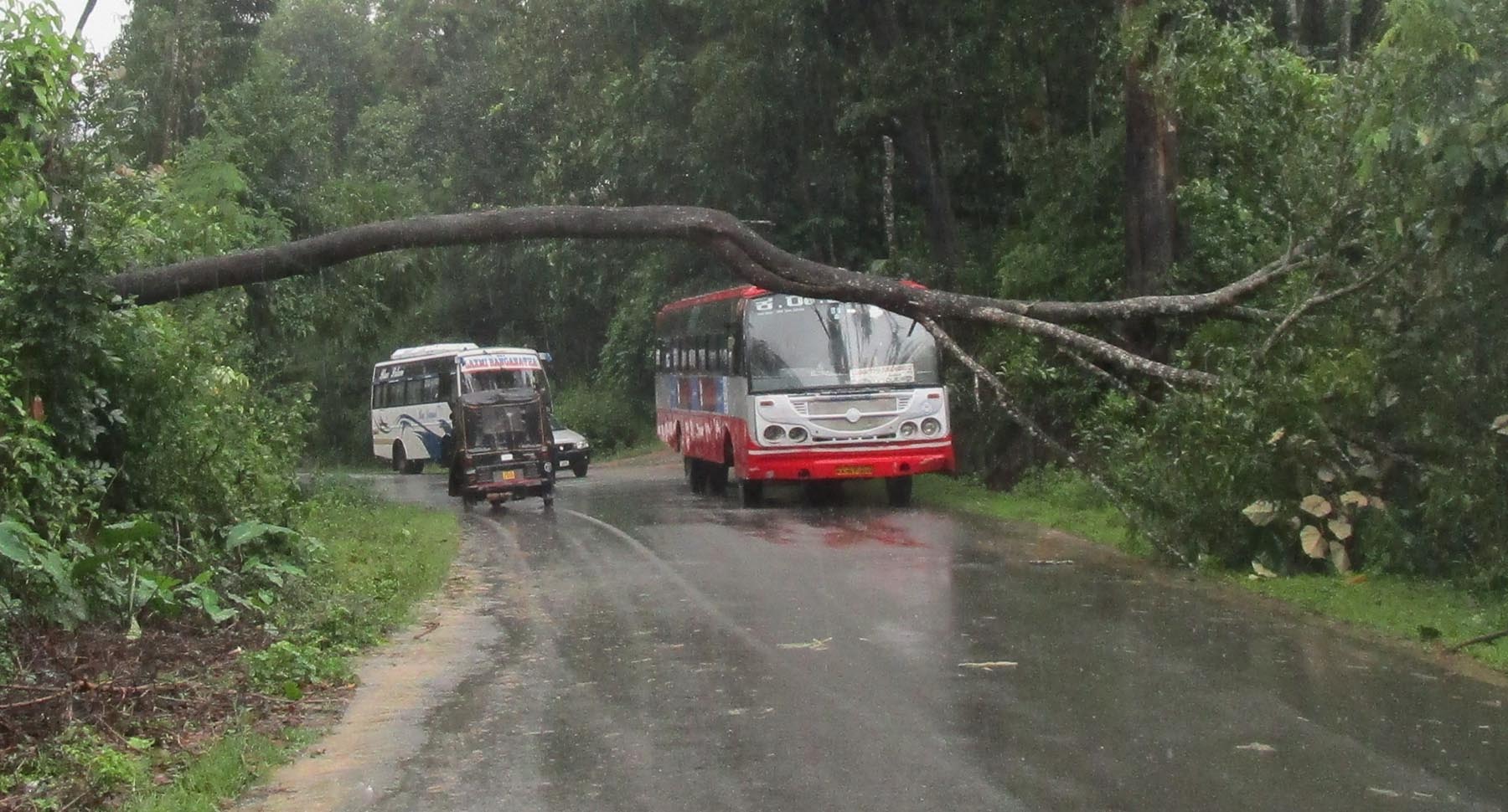ಮೂಡಿಗೆರೆ: ಧಾರಾಕಾರ ಮಳೆಗೆ ರಸ್ತೆ ಸಂಚಾರ, ವಿದ್ಯುತ್ ವ್ಯತ್ಯಯ