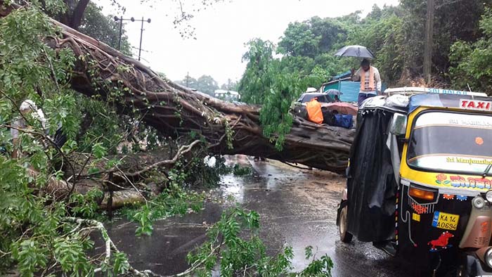ಮಲೆನಾಡಿನಲ್ಲಿ ಮುಂದುವರೆದ ವರುಣನ ಆರ್ಭಟ