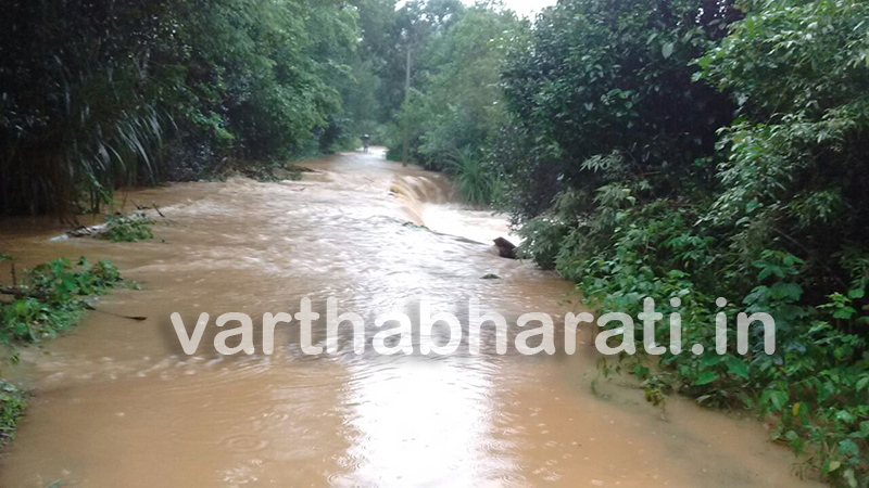 ಚಿಕ್ಕಮಗಳೂರಲ್ಲಿ ಭಾರೀ ಮಳೆ: ಹೆಬ್ಬಾಳ ಸೇತುವೆ ಸಂಪೂರ್ಣ ಮುಳುಗಡೆ