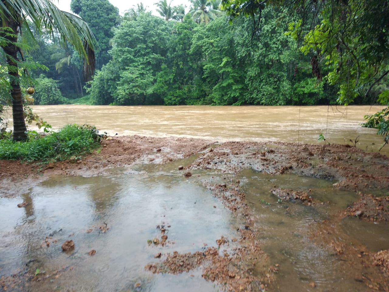 ಬೆಳ್ತಂಗಡಿ: ಭಾರೀ ಮಳೆಗೆ ಜನಜೀವನ ಅಸ್ತವ್ಯಸ್ಥ; ಎರಡು ಮನೆ ಕುಸಿತ