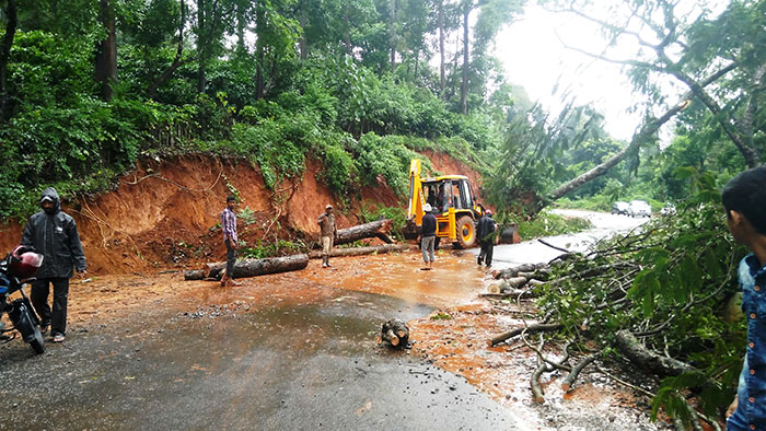ಕೊಪ್ಪ: ಧಾರಾಕಾರ ಮಳೆಗೆ ವಿವಿಧೆಡೆ ಹಾನಿ; ಮರಗಳು ಉರುಳಿ ರಸ್ತೆ ಸಂಚಾರ ಸ್ಥಗಿತ