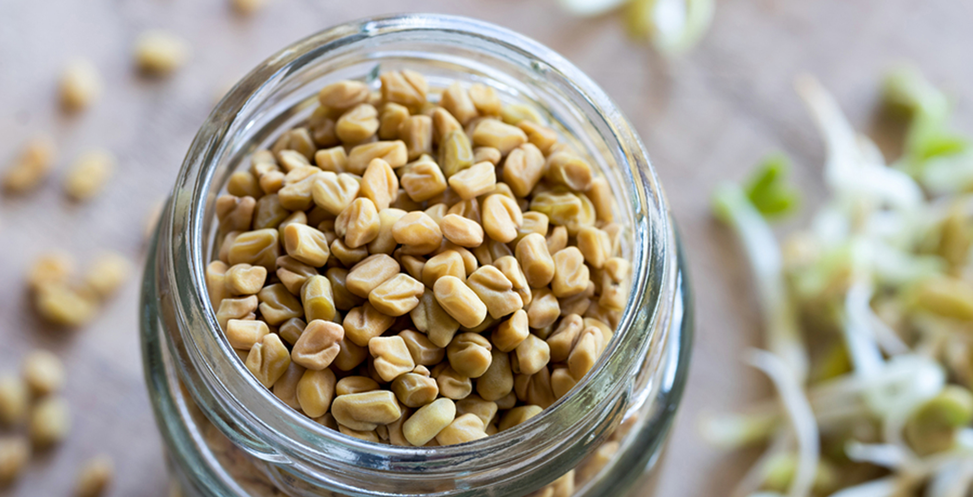 ರುಚಿಯಲ್ಲಿ ಕಹಿಯಾದರೇನು...? ನೆನೆಸಿದ ಮೆಂತ್ಯದ ಬೀಜಗಳು ನೀಡುವ ಆರೋಗ್ಯಲಾಭಗಳು ಕಡಿಮೆಯೇನಲ್ಲ