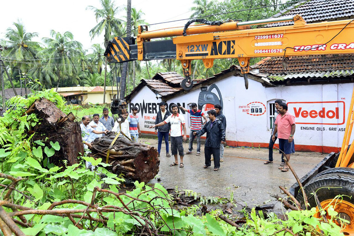 ಉಡುಪಿ; ಸಾರ್ವಜನಿಕರಿಂದಲೇ ರಸ್ತೆಗೆ ಬಿದ್ದ ಬೃಹತ್ ಮರ ತೆರವು