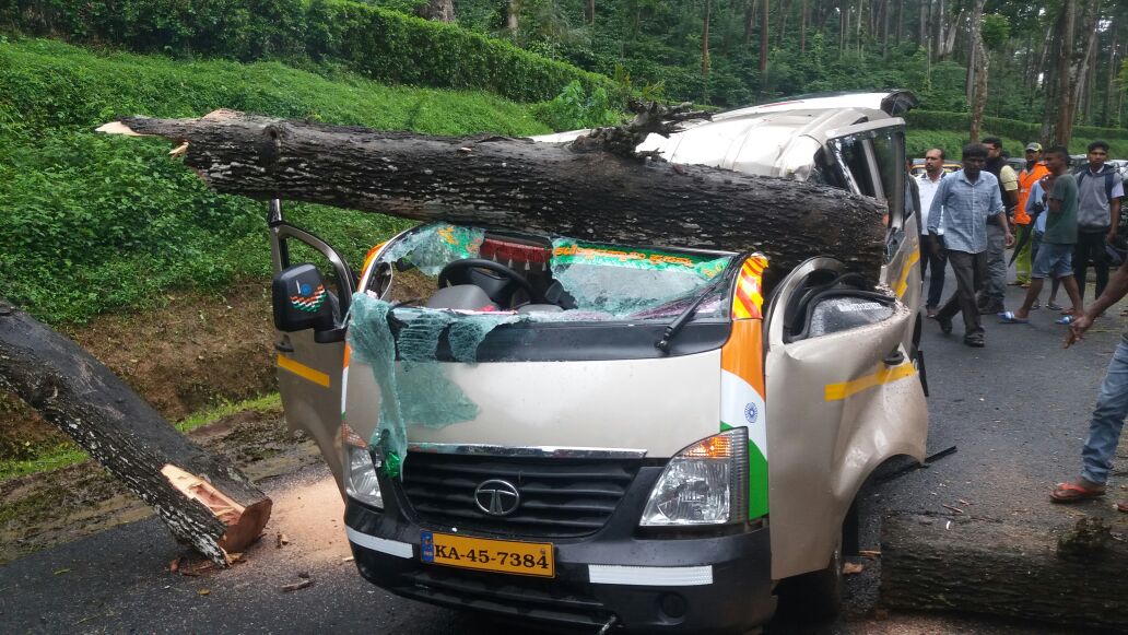 ಮಡಿಕೇರಿ: ವಾಹನದ ಮೇಲೆ ಮರ ಬಿದ್ದು ಕಾರ್ಮಿಕ ಮೃತ್ಯು