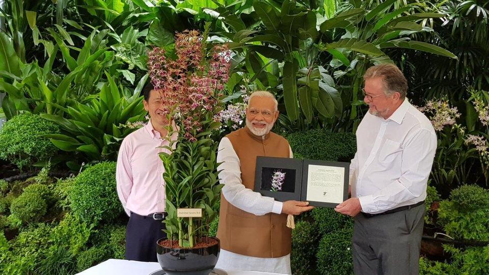 ಮೋದಿ ಭೇಟಿಯ ಸವಿನೆನಪಿಗಾಗಿ ಸಿಂಗಾಪುರ ಆರ್ಕಿಡ್ ಗೆ ಭಾರತದ ಪ್ರಧಾನಿಯ ಹೆಸರು