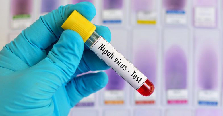 ನಿಪಾಹ್‌ಗೆ ಮಹಿಳೆ ಬಲಿ