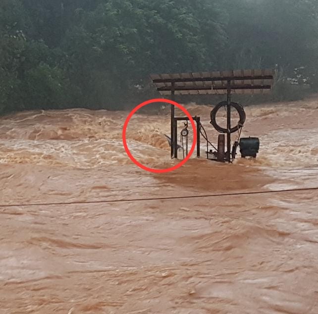 ಕಟೀಲಿನ ನಂದಿನಿ ನದಿಯಲ್ಲಿ ನೀರಿನ ಪ್ರಮಾಣ ಏರಿಕೆ