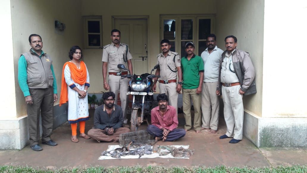 ಚಿಕ್ಕಮಗಳೂರು: ಮಲೆನಾಡಿನ ಅಪರೂಪದ ಕಾಡು ಪಕ್ಷಿಗಳ ಭೇಟೆಯಾಡುತ್ತಿದ್ದವರ ಬಂಧನ