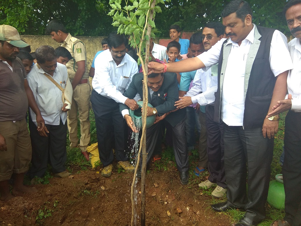 ಮಂಡ್ಯ ಜಿಲ್ಲೆಯಾದ್ಯಂತ ಅರ್ಥಪೂರ್ಣ ಪರಿಸರ ದಿನಾಚರಣೆ