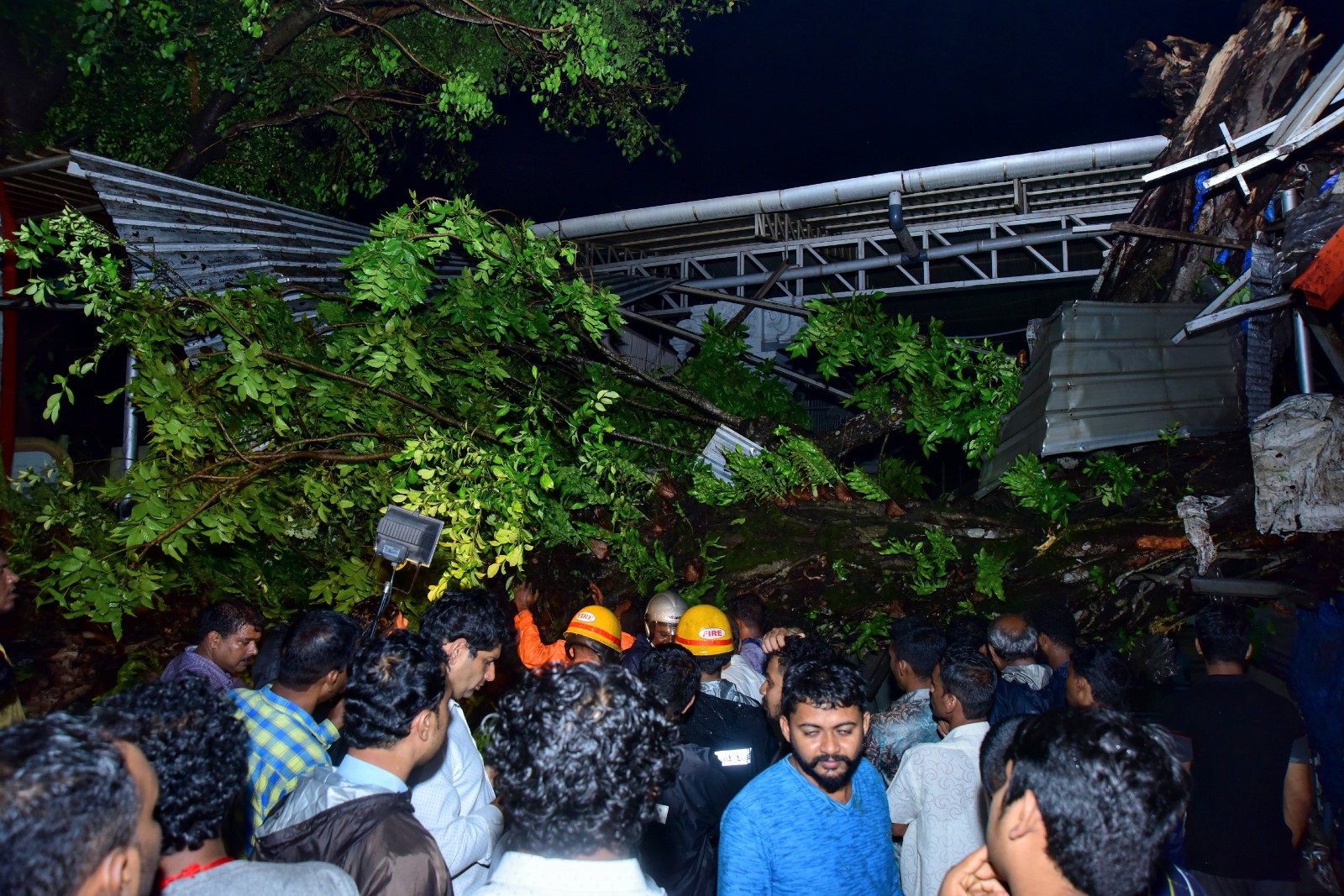ಮಂಗಳಾದೇವಿ ದೇವಸ್ಥಾನ ಬಳಿ ಮರದ ಟೊಂಗೆ ಬಿದ್ದು ನಾಲ್ವರಿಗೆ ಗಾಯ