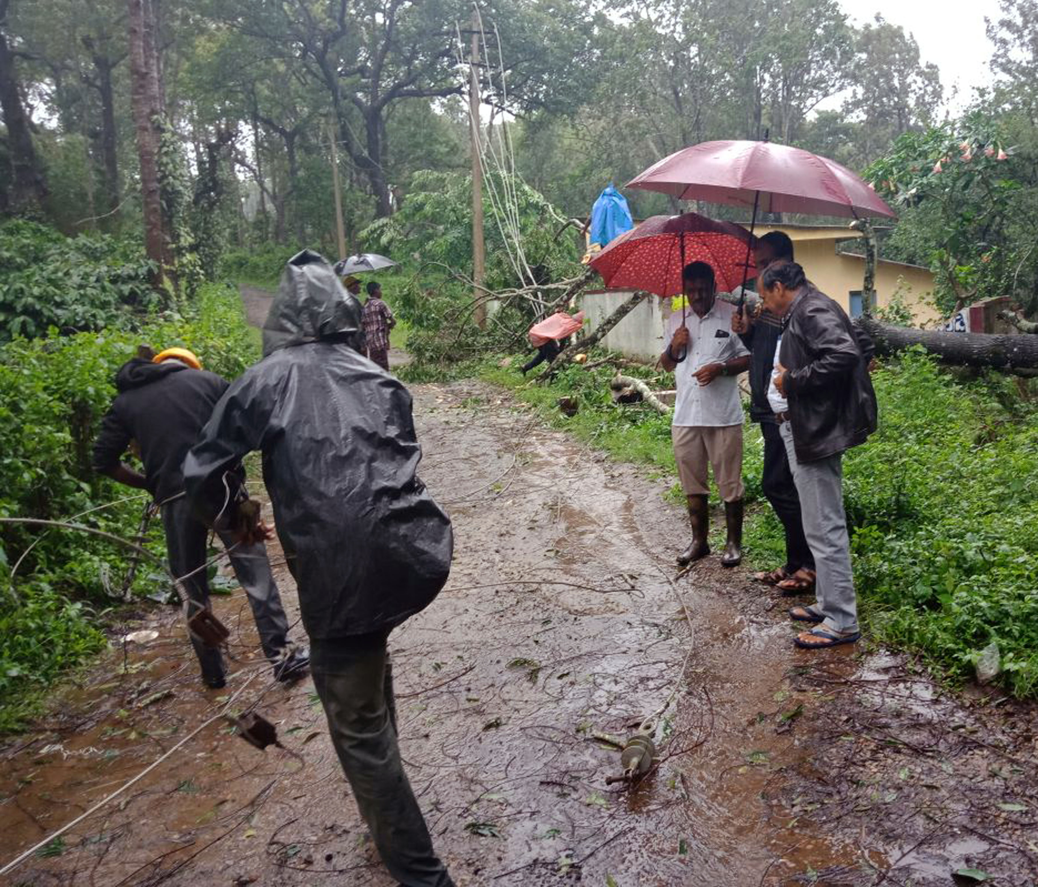 ಸೋಮವಾರಪೇಟೆ: ಬಿರುಗಾಳಿ ಸಹಿತ ಧಾರಾಕಾರ ಮಳೆ; ಧರೆಗುರುಳಿದ ಮರ, ಕಂಬಗಳು