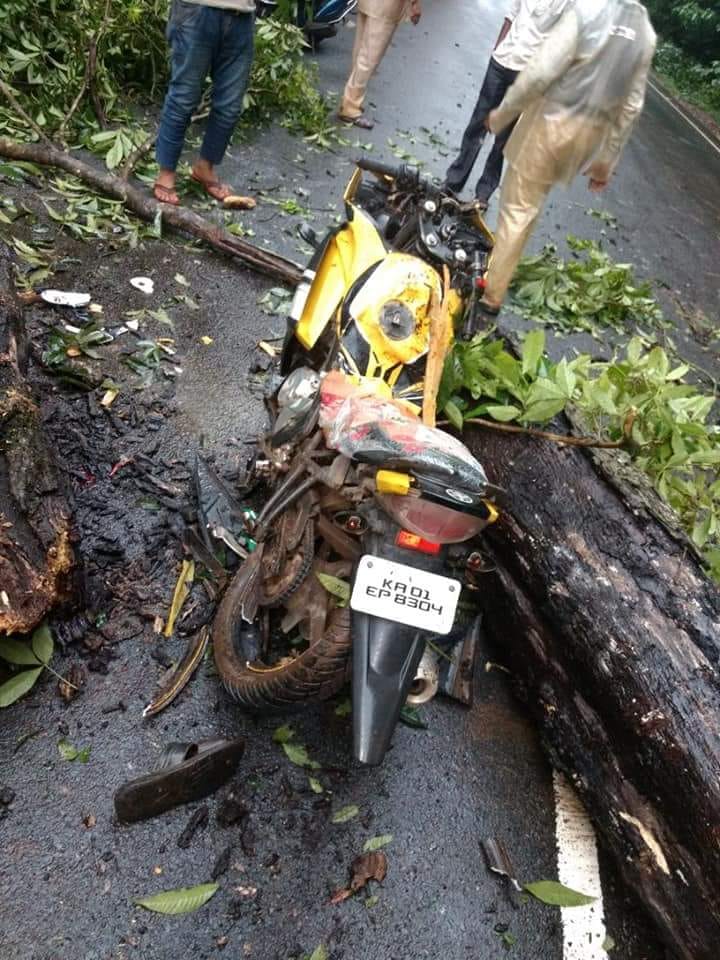 ಯಲ್ಲಾಪುರ: ಚಲಿಸುತ್ತಿದ್ದ ಬೈಕ್ ಮೇಲೆ ಮರ ಬಿದ್ದು ಇಬ್ಬರು ಮೃತ್ಯು