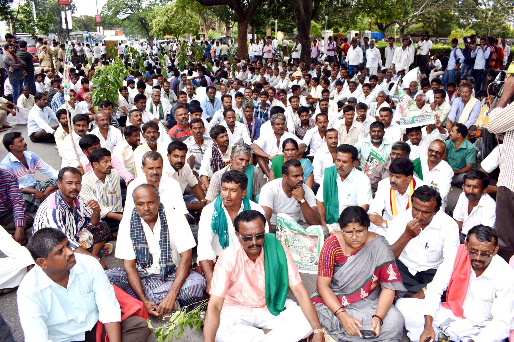 ಮಂಡ್ಯ: ರೇಷ್ಮೆಗೆ 500 ರೂ. ದರ ನಿಗದಿಗೆ ಒತ್ತಾಯಿಸಿ ಧರಣಿ; ಕೇಂದ್ರ ರಾಜ್ಯ ಸರಕಾರಗಳ ವಿರುದ್ಧ ಆಕ್ರೋಶ