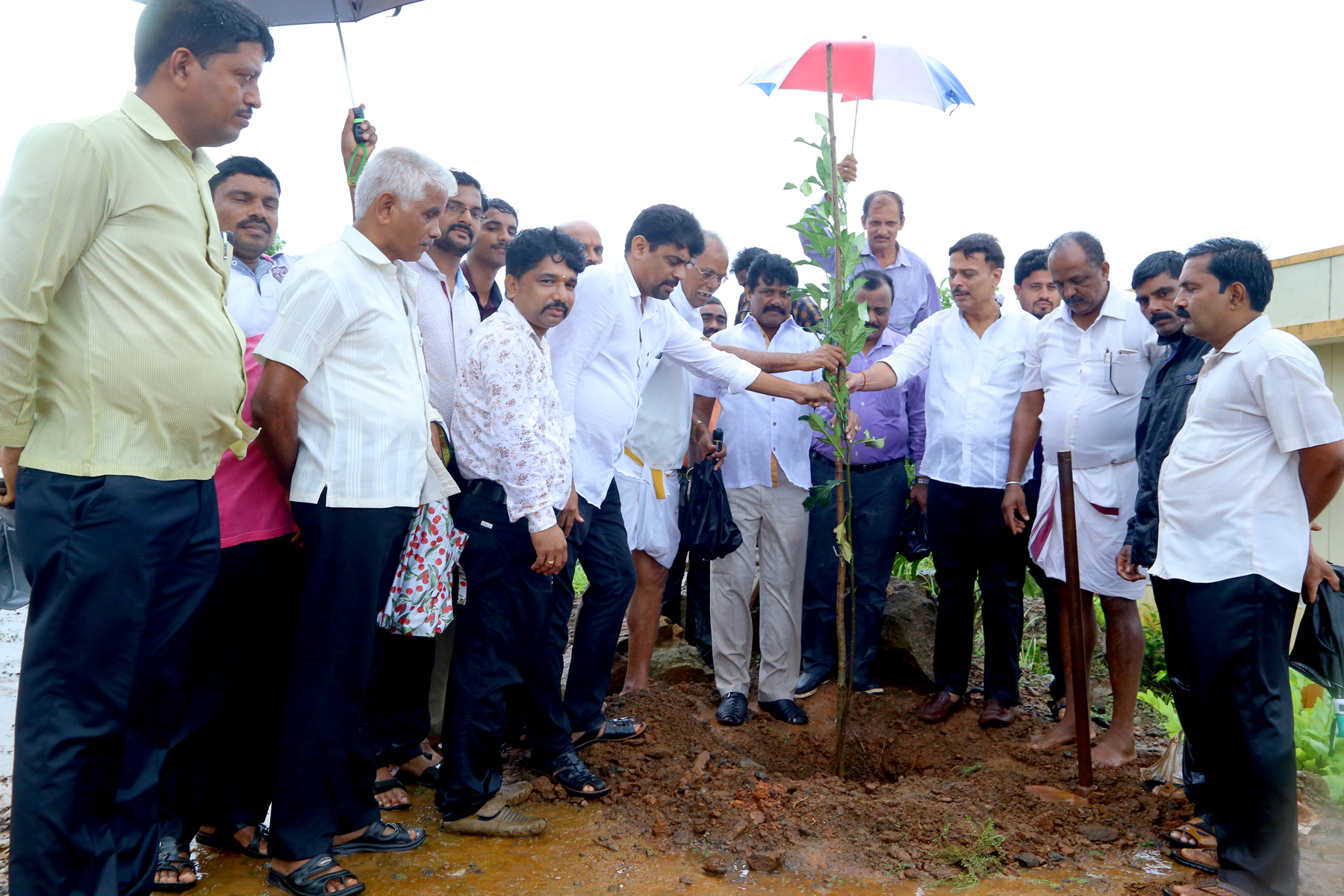ಬಂಟ್ವಾಳ: ವನಮಹೋತ್ಸವ-ಸಸಿ ವಿತರಣೆ ಕಾರ್ಯಕ್ರಮ