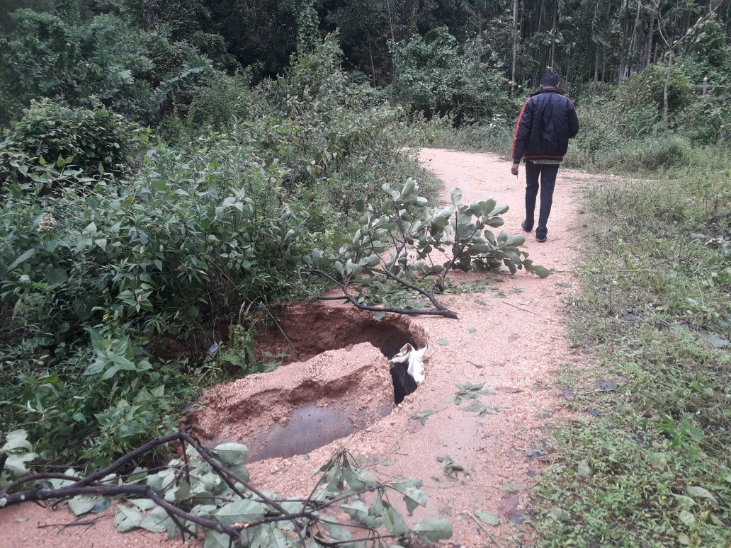 ಕೊಪ್ಪ: ಭಾರೀ ಗಾಳಿ ಮಳೆಗೆ ವಿವಿಧೆಡೆ ಹಾನಿ; ಕೊಟ್ಟಿಗೆ ಕುಸಿದು ಜಾನುವಾರು ಸಾವು