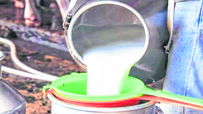 35 ಲೀ.ಹಾಲಿನಲ್ಲಿ ಸ್ನಾನ ಮಾಡಿದ ಭೂಪ !