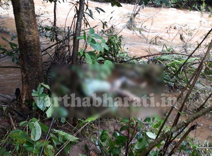 ಚಿಕ್ಕಮಗಳೂರು: ಹಳ್ಳದ ನೀರಿನಲ್ಲಿ ಕೊಚ್ಚಿ ಹೋಗಿದ್ದ ಯುವಕನ ಮೃತದೇಹ 9 ದಿನಗಳ ಬಳಿಕ ಪತ್ತೆ
