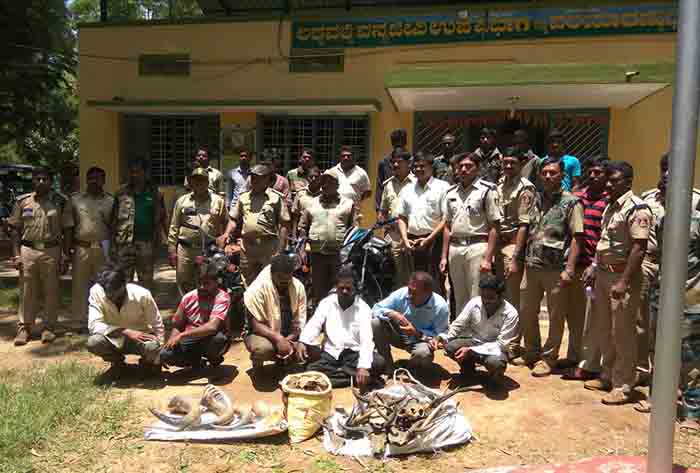 ವನ್ಯಜೀವಿ ಭೇಟೆಯಾಡುತ್ತಿದ್ದ ಆರೋಪಿಗಳ ಬಂಧನ: ಲಕ್ಷಾಂತರ ರೂ. ಮೌಲ್ಯದ ಪ್ರಾಣಿಗಳ ಉಗುರು, ಆನೆದಂತ ವಶಕ್ಕೆ