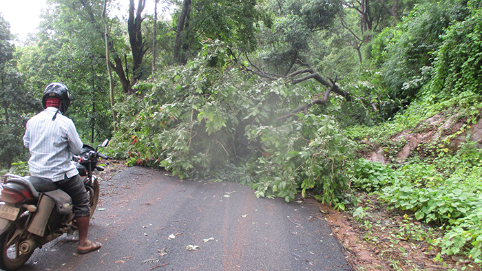 ಮಲೆನಾಡಿನ ಅಲ್ಲಲ್ಲಿ ಮುಂದುವರೆದ ಮಳೆ: ವಿದ್ಯುತ್ ಸಮಸ್ಯೆಯಿಂದ ಕತ್ತಲೆಯಲ್ಲಿ ಮುಳುಗಿದ ಗ್ರಾಮಗಳು