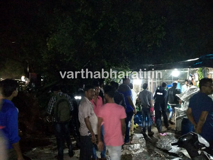 ಉಜಿರೆ : ಮರ ಬಿದ್ದು ಅಂಗಡಿಗಳಿಗೆ ಹಾನಿ