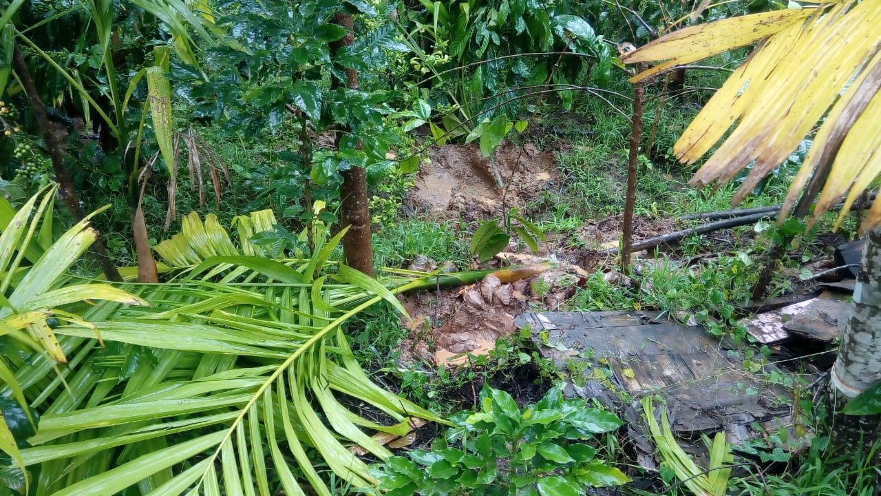 ಮಡಿಕೇರಿ: ಮಳೆಹಾನಿ ನಡುವೆಯೇ ಕಾಡಾನೆಗಳ ಉಪಟಳಕ್ಕೆ ಬೆಳೆಗಾರರು ಕಂಗಾಲು