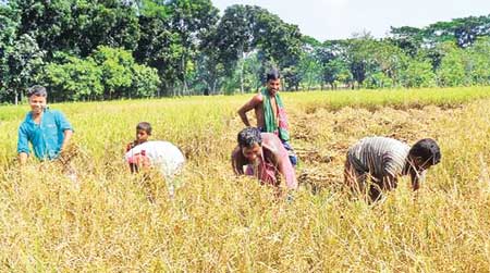 ಅವಿಶ್ವಾಸ ನಿರ್ಣಯದ ದಿನವೇ ರೈತರಿಂದ ಮೋದಿ ಸರಕಾರದ ವಿರುದ್ಧ ಅವಿಶ್ವಾಸ ಜಾಥಾ
