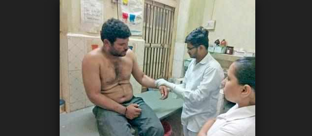 ಸಿಂಹಗಳ ದಾಳಿಯಿಂದ ಮಾಲಕನನ್ನು ಕಾಪಾಡಿದ ಸಾಕುನಾಯಿ