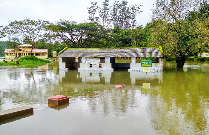 ಕೊಡಗಿನಲ್ಲಿ ಮತ್ತೆ ಭಾರೀ ಗಾಳಿ ಮಳೆ: ಭಾಗಮಂಡಲ ರಸ್ತೆಗಳು ಜಲಾವೃತ