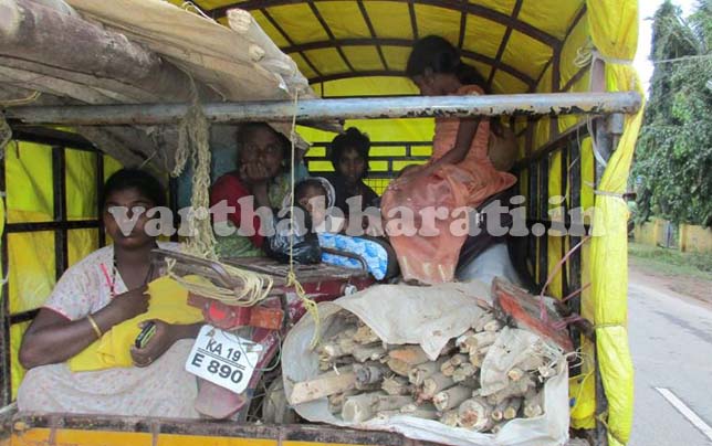 ಚಿಕ್ಕಮಗಳೂರು: ಸಾವಿನ ಭೀತಿಯಿಂದ ಗ್ರಾಮ ತೊರೆದ ಹಕ್ಕಿಪಿಕ್ಕಿ ಸಮುದಾಯ