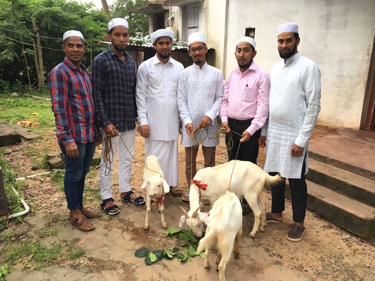 ಎಸ್ಸೆಸ್ಸೆಫ್ ತೊಕ್ಕೊಟ್ಟು ಸೆಕ್ಟರ್ ವಿಭಾಗದಿಂದ ಸಾಕಣೆಗಾಗಿ ಆಡು ವಿತರಣೆ