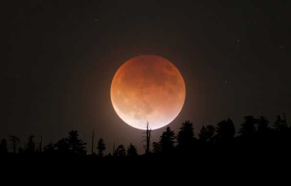 ಕರ್ನಾಟಕದ  ರಾಜಕಾರಣಿಗಳನ್ನು ಆವರಿಸಿದ ಚಂದ್ರಗ್ರಹಣ