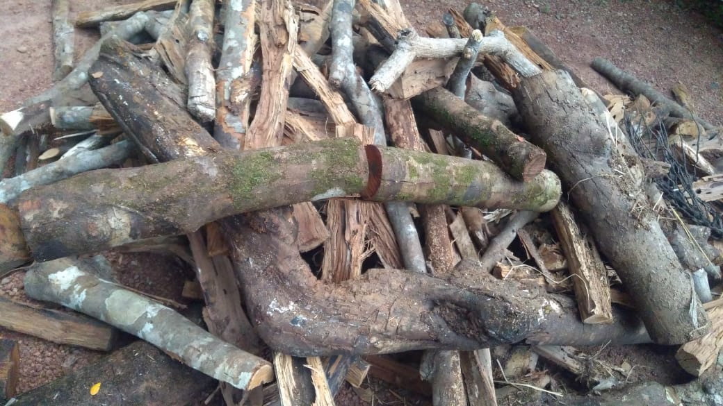 ಖಾಸಗಿ ಜಾಗದ ಮರ ಕಳವು : ಆರೋಪಿ ಬಂಧನ