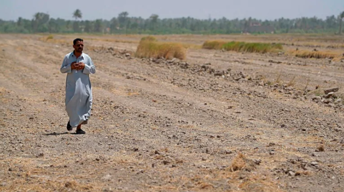 ರೈತರು ಬೇಸಿಗೆ ಬೆಳೆ ಬೆಳೆಯುವುದನ್ನು ನಿಷೇಧಿಸಿದ ಇರಾಕ್ !