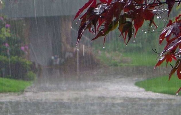 ಕರಾವಳಿಯ ವಿವಿಧೆಡೆ ಧಾರಾಕಾರ ಮಳೆ