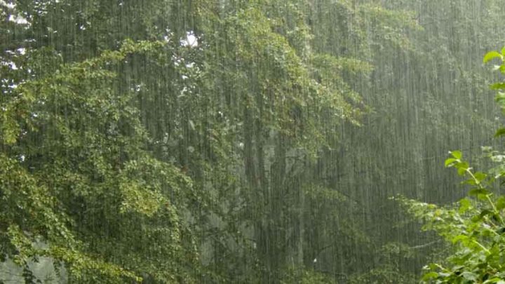 ಜು.9: ಉಡುಪಿ ತಾಲೂಕು ಶಾಲಾ ಕಾಲೇಜುಗಳಿಗೆ ರಜೆ