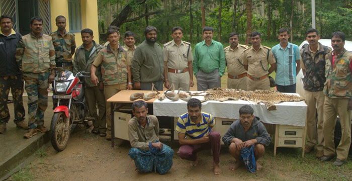 ಚಿಕ್ಕಮಗಳೂರು: ಐವರು ಕುಖ್ಯಾತ ಅರಣ್ಯಗಳ್ಳರ ಬಂಧನ