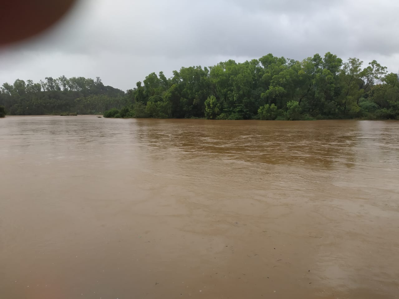 ಮಲೆನಾಡಿನಲ್ಲಿ ನಿಲ್ಲದ ವರುಣನ ಆರ್ಭಟ: ಹಳ್ಳದ ನೀರಿನಲ್ಲಿ ಕೊಚ್ಚಿ ಹೋದ ಮಹಿಳೆ